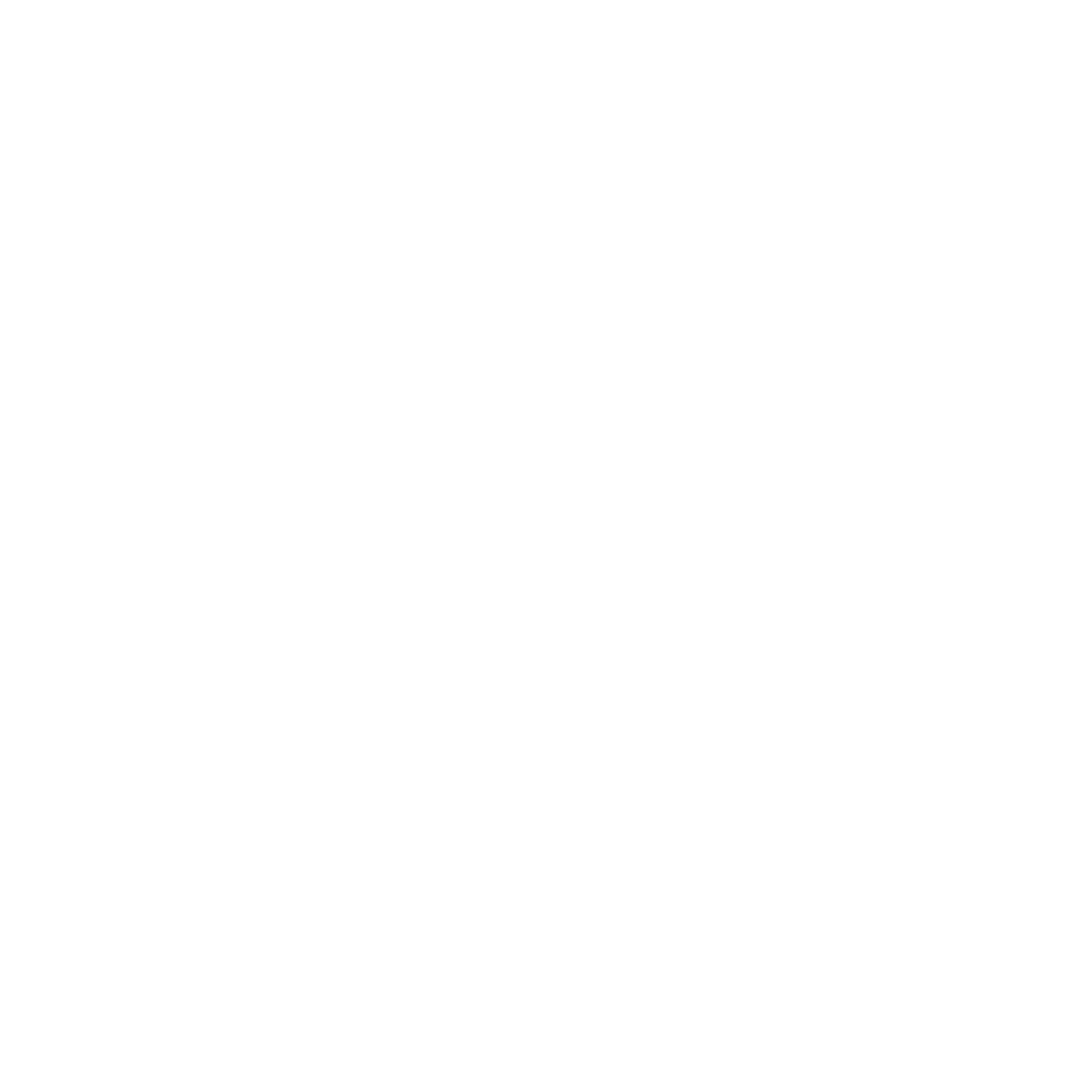Da Vinci Software Logo
